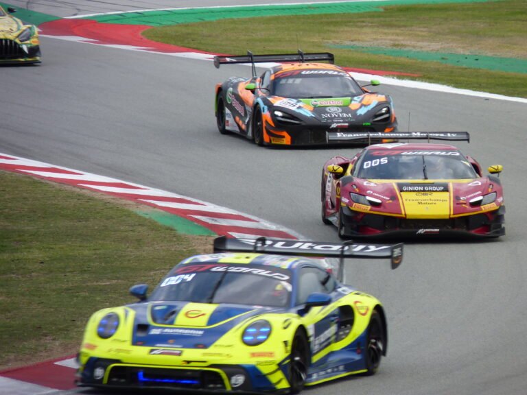 GT world Challenge, FIA Platinium picture